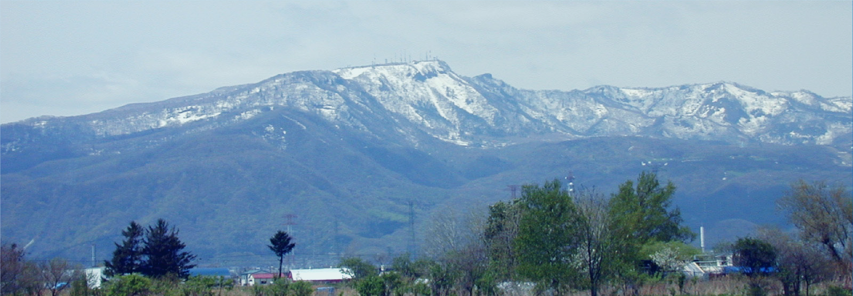 医療法人社団トム